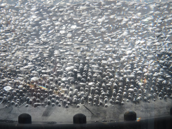 Aerated Rubber Membrane Weighted Suction Dome (Retro Fit Bottom Drain) by Eco Filtration